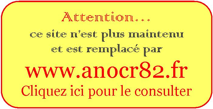 Nouveau Site